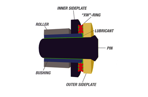 xwringcutaway2.jpg